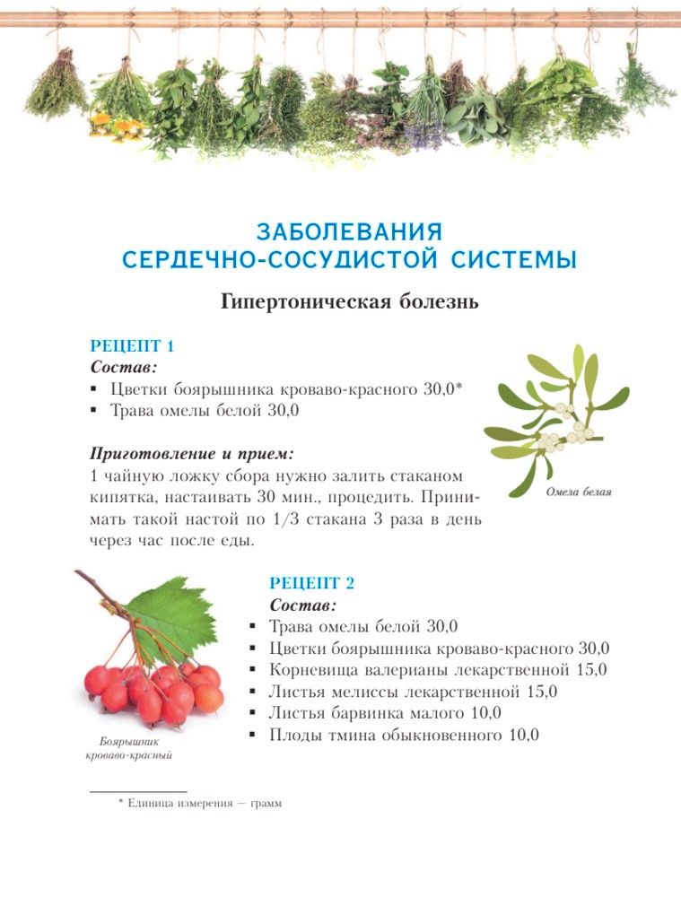 РАСТЕНИЯ ОТ ВСЕХ БОЛЕЗНЕЙ. Иллюстрированный атлас | Plants for All Diseases: An Illustrated Atlas - Ozon image 7