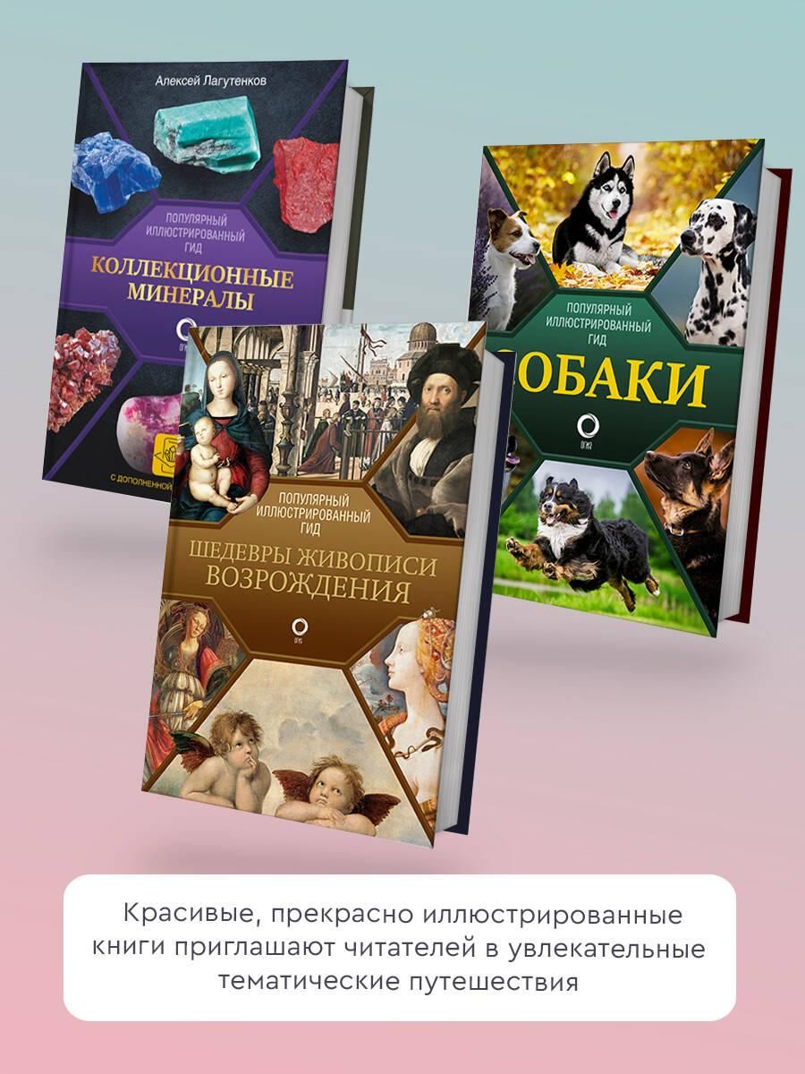 Автомобили. Популярный иллюстрированный гид | Cars: Popular Illustrated Guide - Ozon image 2