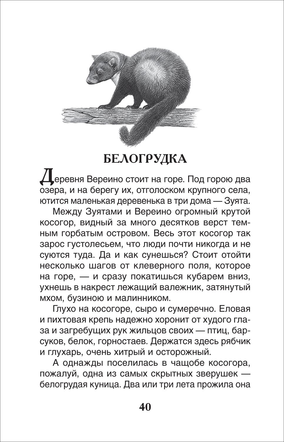 Виктор Астафьев. Рассказы | Viktor Astafyev. Stories - Ozon image 7