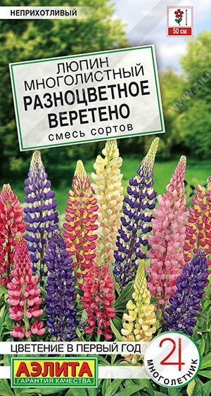 СеменацветовЛюпинРазноцветноеверетено,смесьсортов