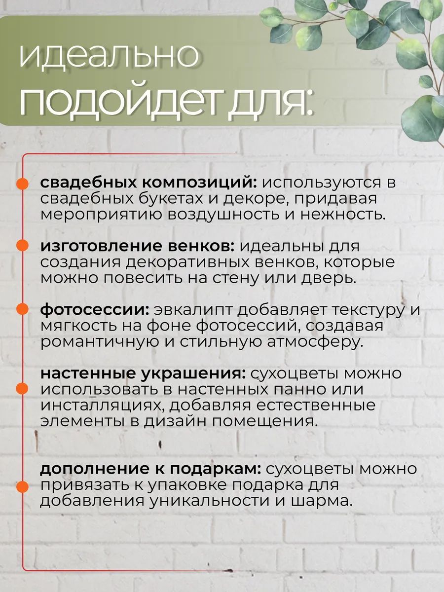 Эвкалипт парфиволия стабилизированный зеленый 60-65cm SJ-4 Китай