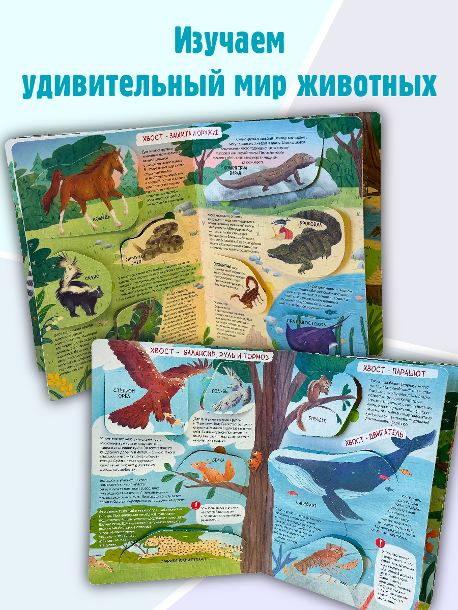 Книга детская энциклопедия с окошками Виммельбух | Children's Encyclopedia with Windows Wimmelbuch - Ozon image 1