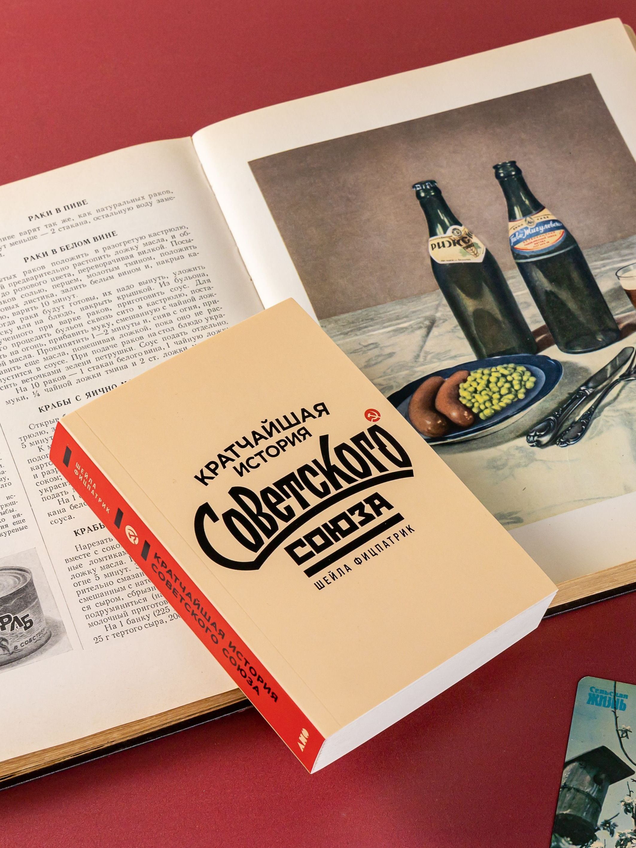 Кратчайшая история Советского Союза / Книги по истории России | The Shortest History of the Soviet Union - Ozon image 7