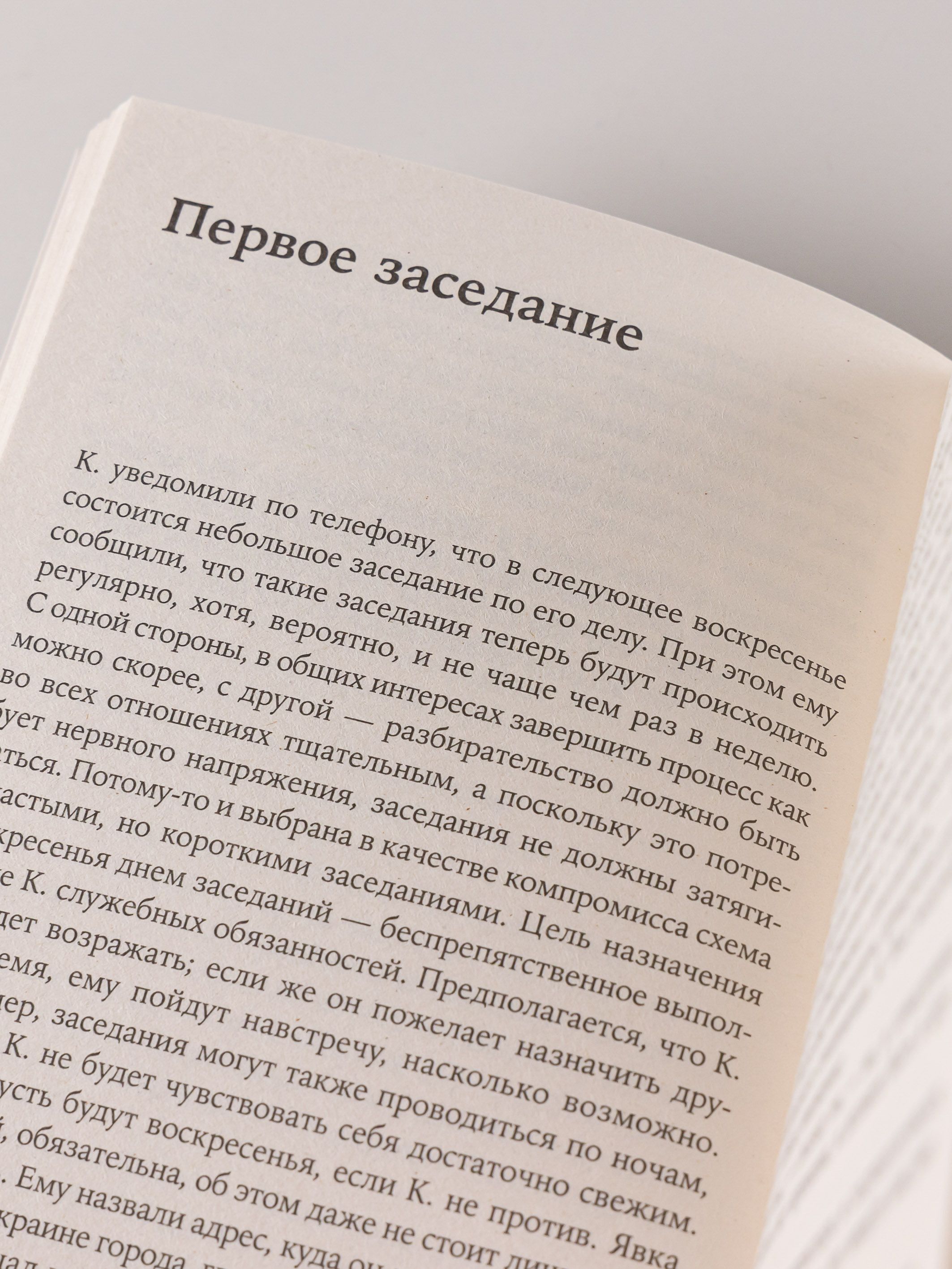Процесс | The Trial - Ozon image 5