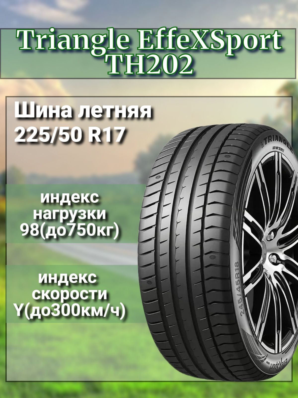 Triangle Effexsport Th202 Test