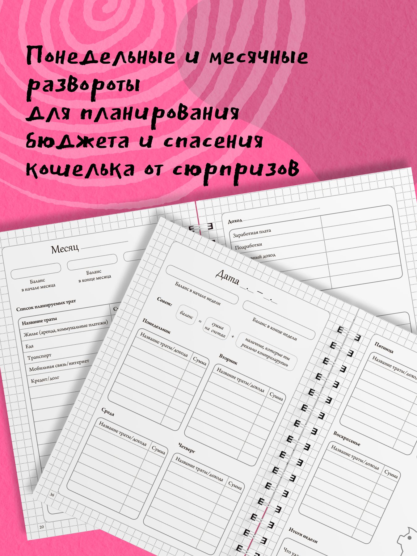 Финансовый блокнот планер. Открой меня, чтобы узнать, где твои деньги | Financial Planner Notebook. Open me to find out where your money goes - Ozon image 3
