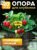 305-20-ozon-4586837027