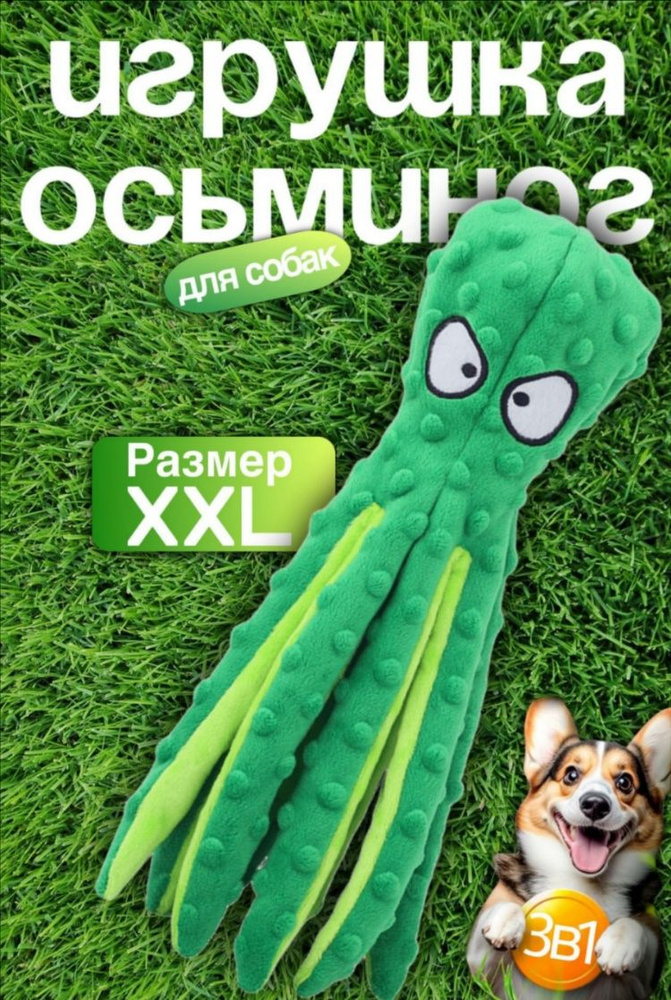OZON ozon