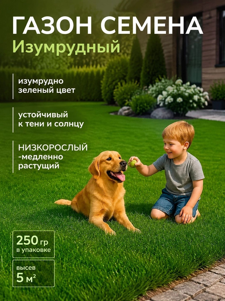 Семена #1