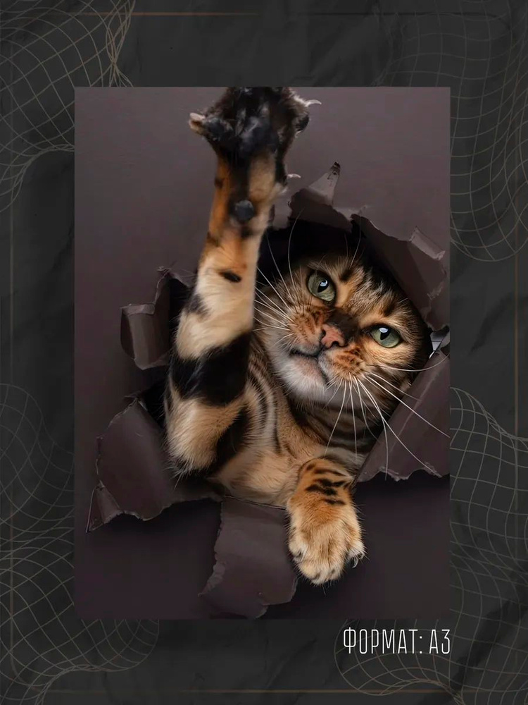 Постер "Кот" #1