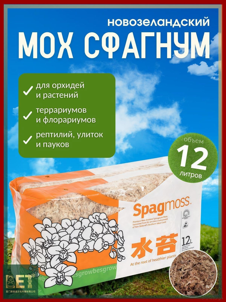 Мох #1
