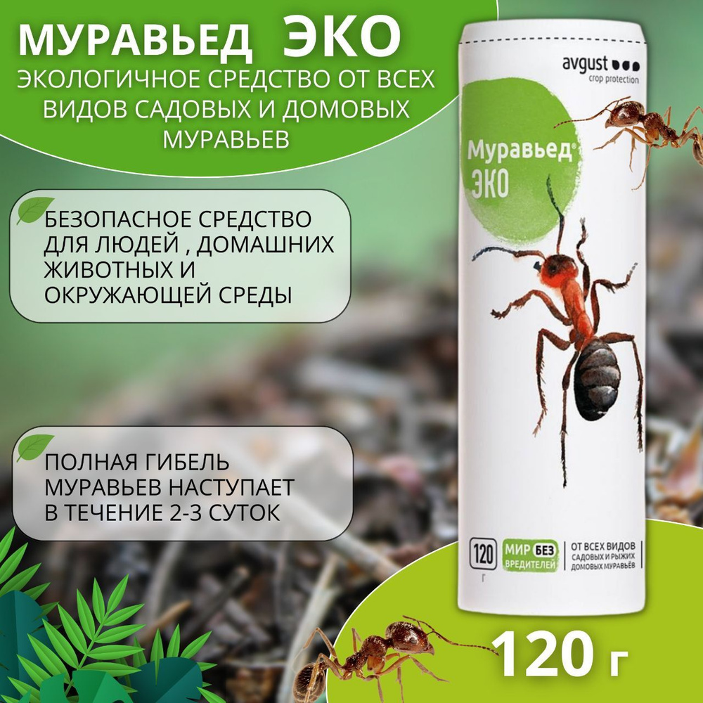 Средство борьбы с муравьями Муравьед ЭКО 120 г - купить с доставкой по  выгодным ценам в интернет-магазине OZON (1067236681)