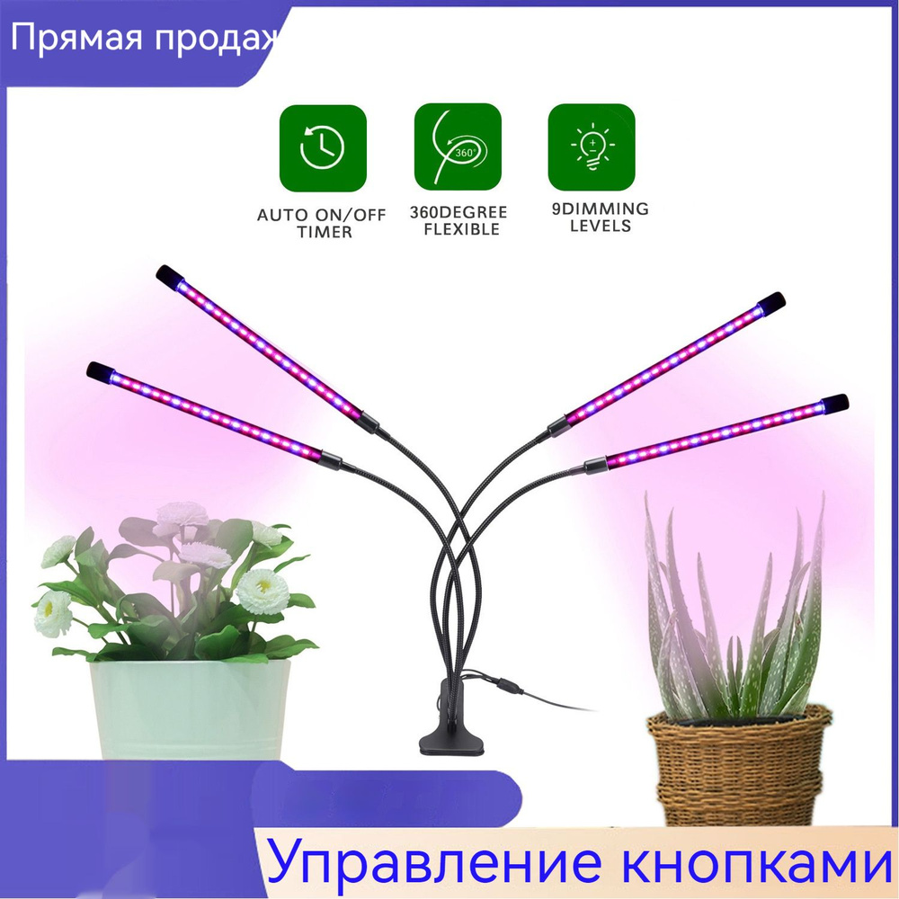 Освещение для садоводства: заполняющий свет способствует росту растений ...