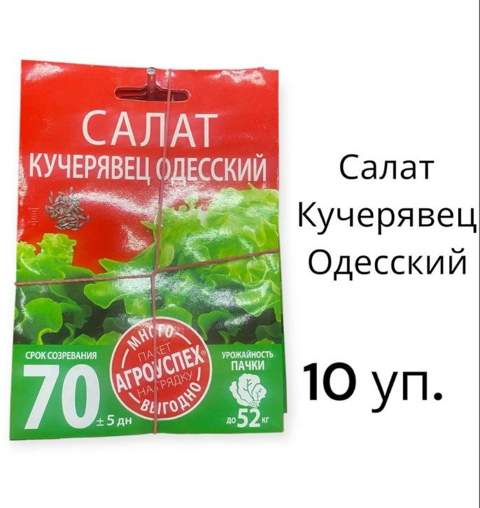 Агроуспех салат Кучерявец Одесский п/коп поздний 3г #1