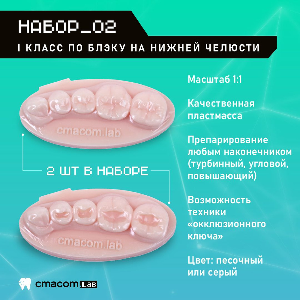 Набор#2 Модели для реставрации зубов/2 штуки/4 зуба/ тренировочные ...