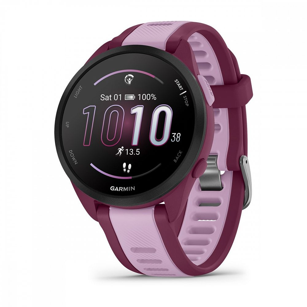 Smartwatch garmin music online