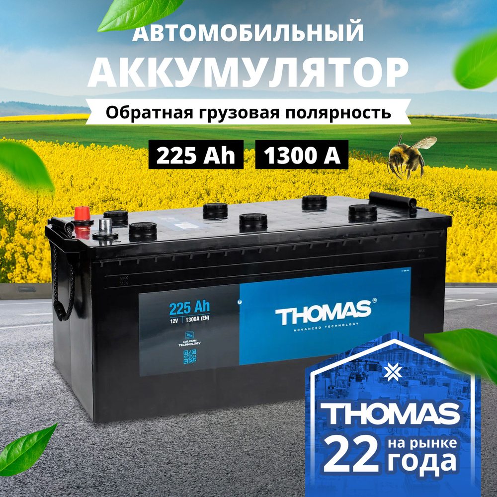 Аккумулятор автомобильный THOMAS Томас купить по выгодной цене в  интернет-магазине OZON (924028564)