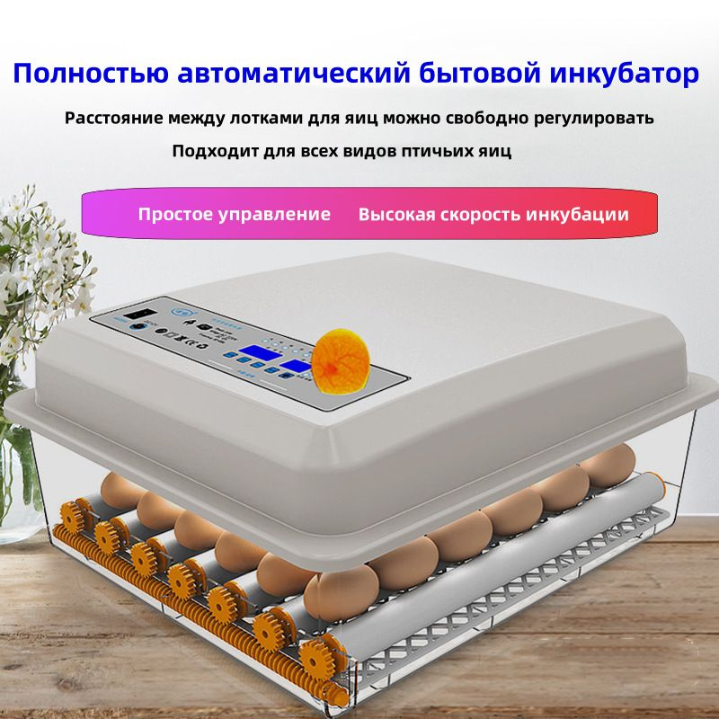 Инкубатор для цыплят, Вмещаетещает 36, Полностью автоматический и ...