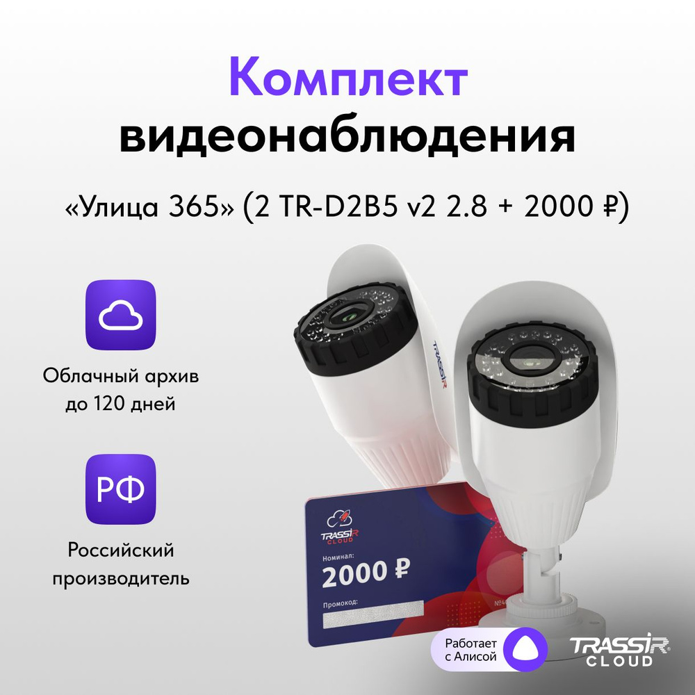 Камера видеонаблюдения Trassir Улица 365 - купить по низким ценам в  интернет-магазине OZON (688303943)