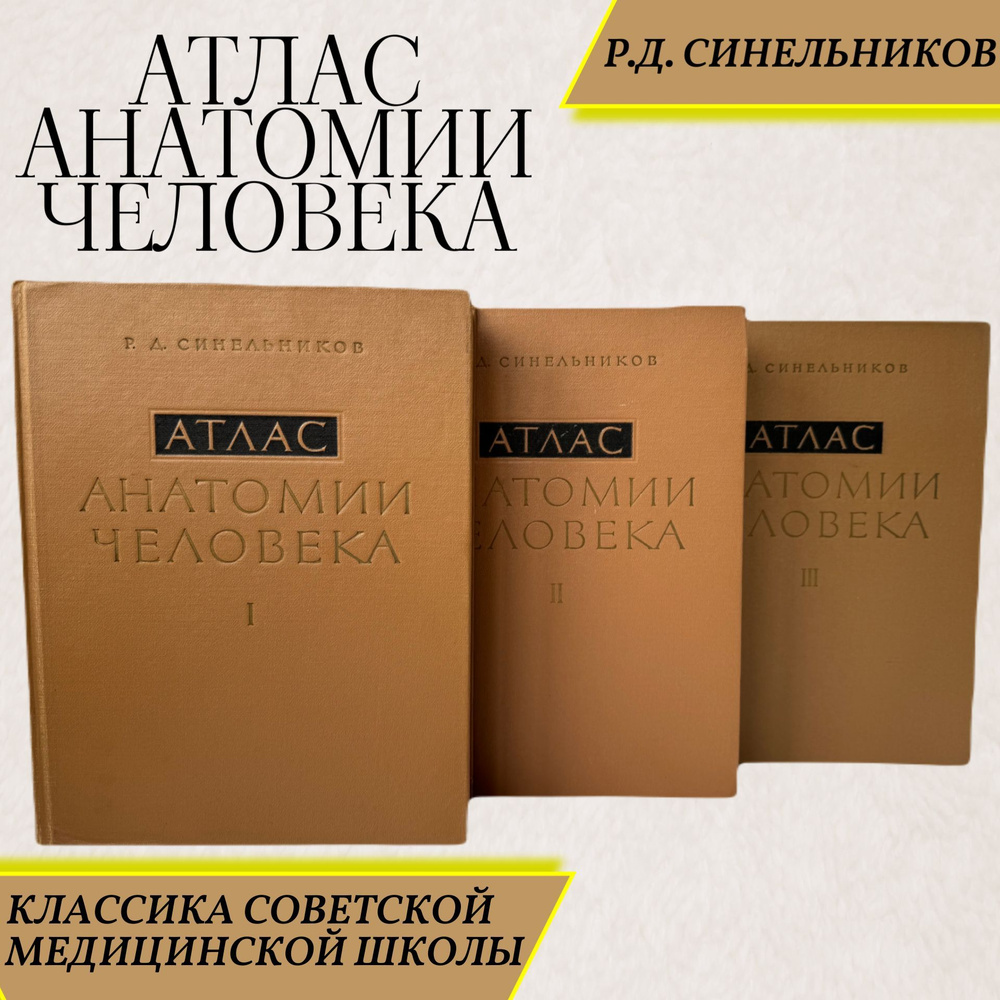 Атлас анатомии человека. Р. Д. Синельников. В 3 томах (комплект) |  Синельников Рафаил Давыдович - купить с доставкой по выгодным ценам в  интернет-магазине OZON (883853251)