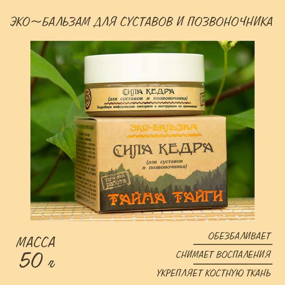 Бальзам Сила Кедра противовоспалительный сильно обезболивающий эко 50 гр.  Алтын Бай - купить с доставкой по выгодным ценам в интернет-магазине OZON  (841801549)