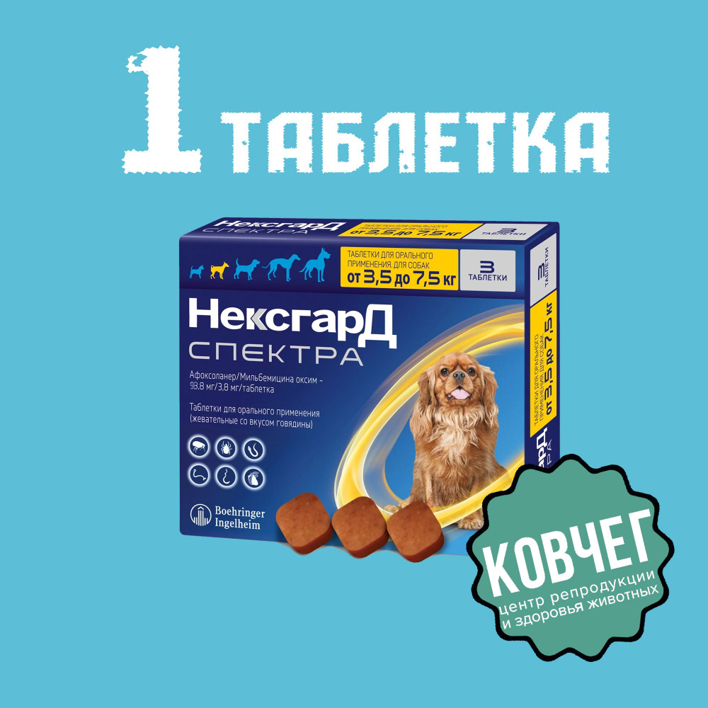 Нексгард Спектра 3,5 - 7,5 кг; Замена Бравекто / Симпарика КОРОТКИЙ СРОК ПО  (31.07 .2024) Упаковка 1 Таблетка - купить с доставкой по выгодным ценам в  интернет-магазине OZON (1561584309)