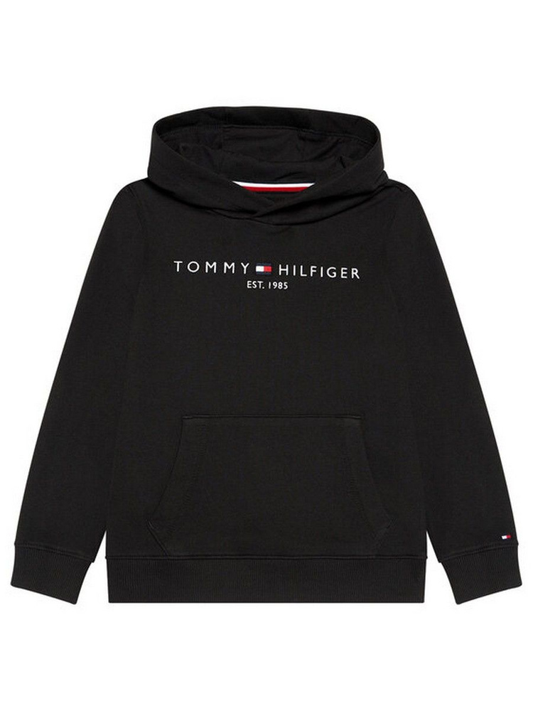 Худи Tommy Hilfiger #1