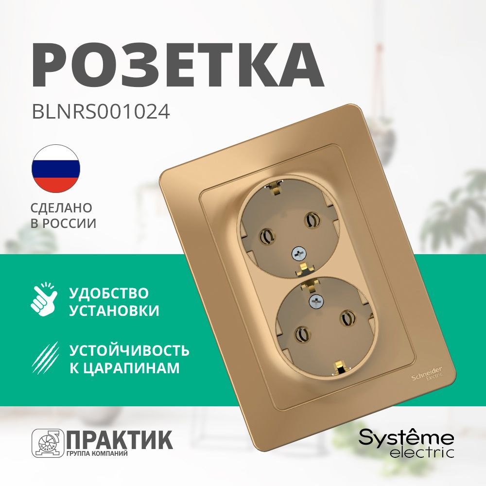 Розетка двойная Blanca Systeme Electric с заземлением без шторок Титан BLNRS001024  #1