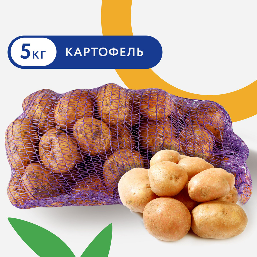 Картофель сетка, 5000г #1