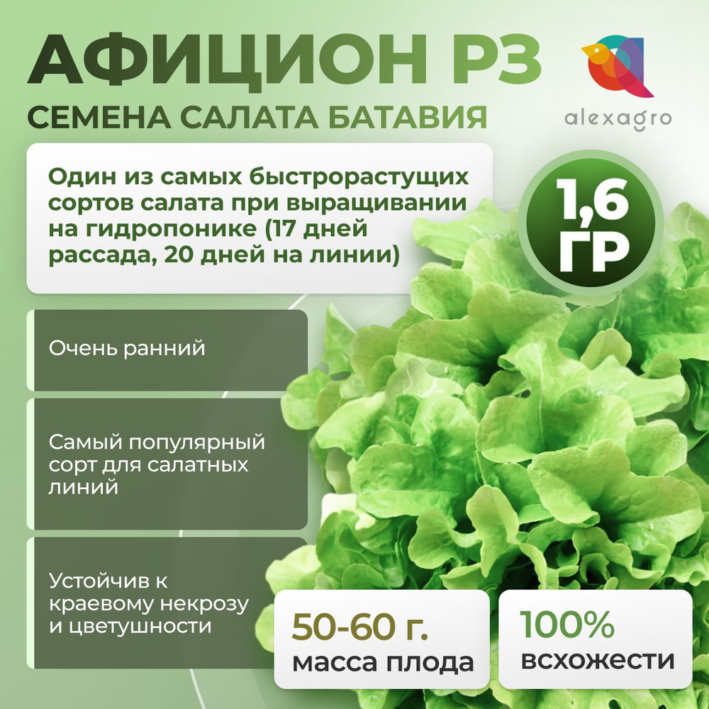 АФИЦИОН РЗ семена салата батавия, 1,6 гр. Драже (Rijk Zwaan / ALEXAGRO). Высокоурожайный, очень ранний #1