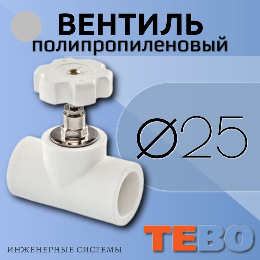 Вентиль полипропиленовый ТЕБО / TEBO d-25 #1