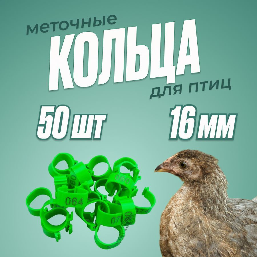 Кольца 16мм зеленые для молодняка кур 50шт #1