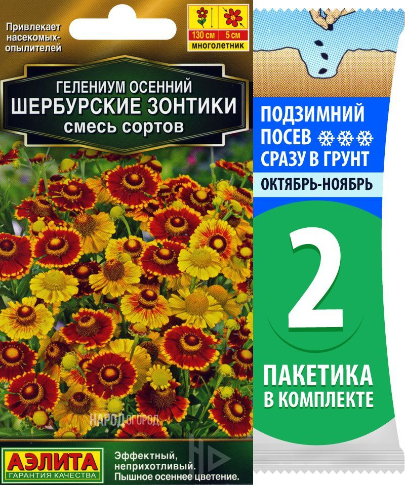 Семена Гелениум Шербурские Зонтики смесь сортов, 2 пакетика по 30шт  #1