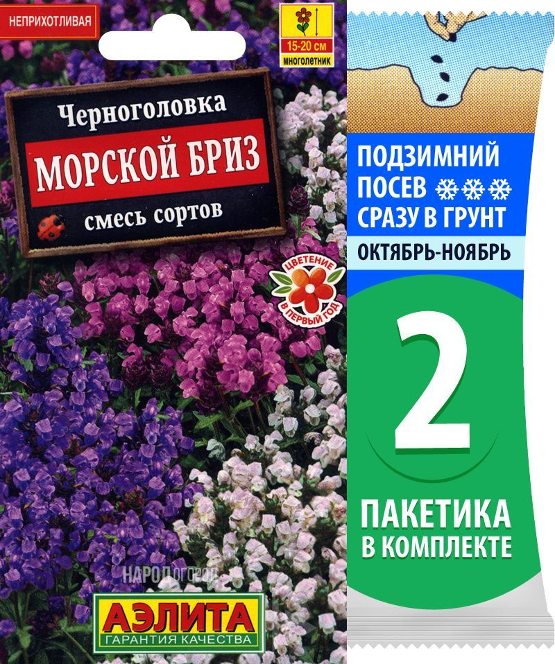 Семена Черноголовка Морской Бриз смесь окрасок, 2 пакетика по 0,05г/30шт  #1