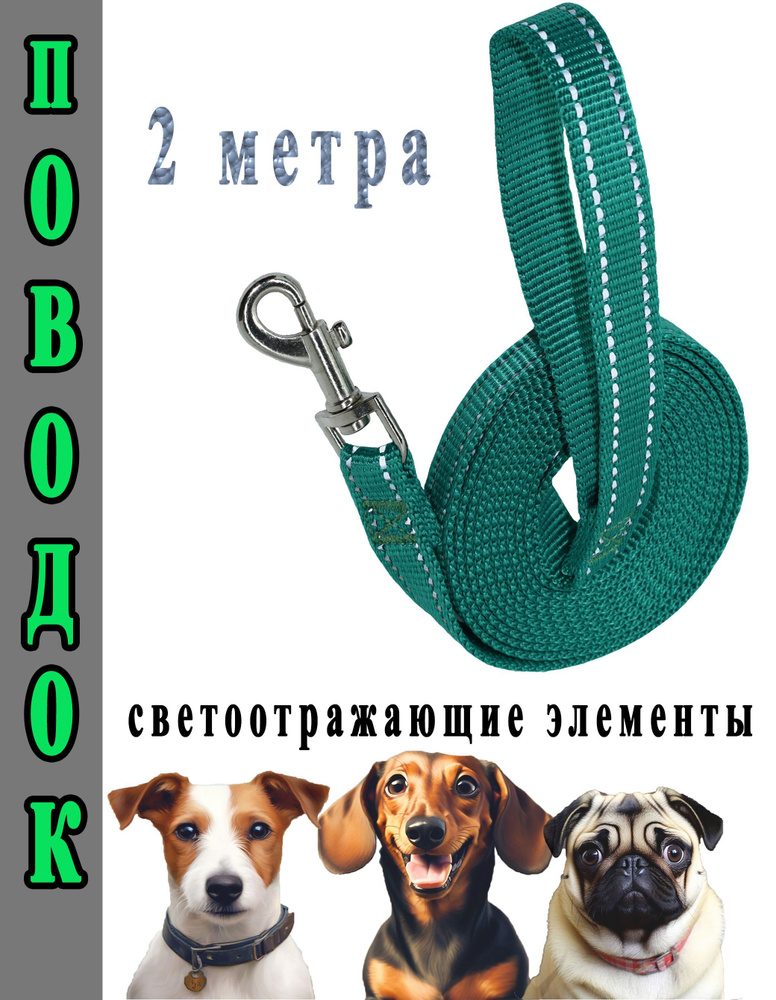 Поводок для мелких пород собак, светоотражающий зеленый 15мм*2м (до 20 кг.)  #1