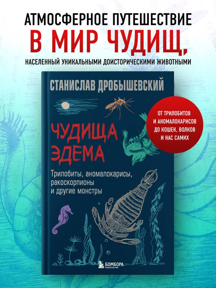 Әйелдің ер адамның жыныс мүшесіне презерватив киген видеосы