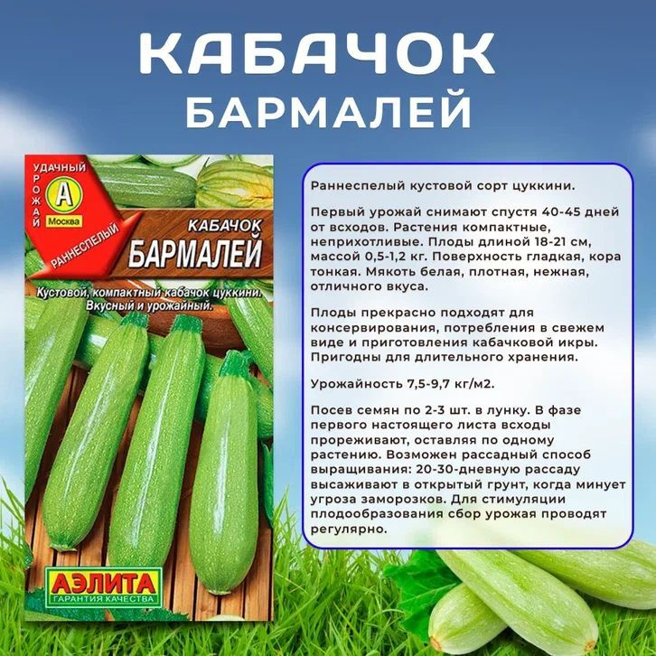 Семена Кабачок цуккини "Бармалей" Агрофирма Аэлита #1