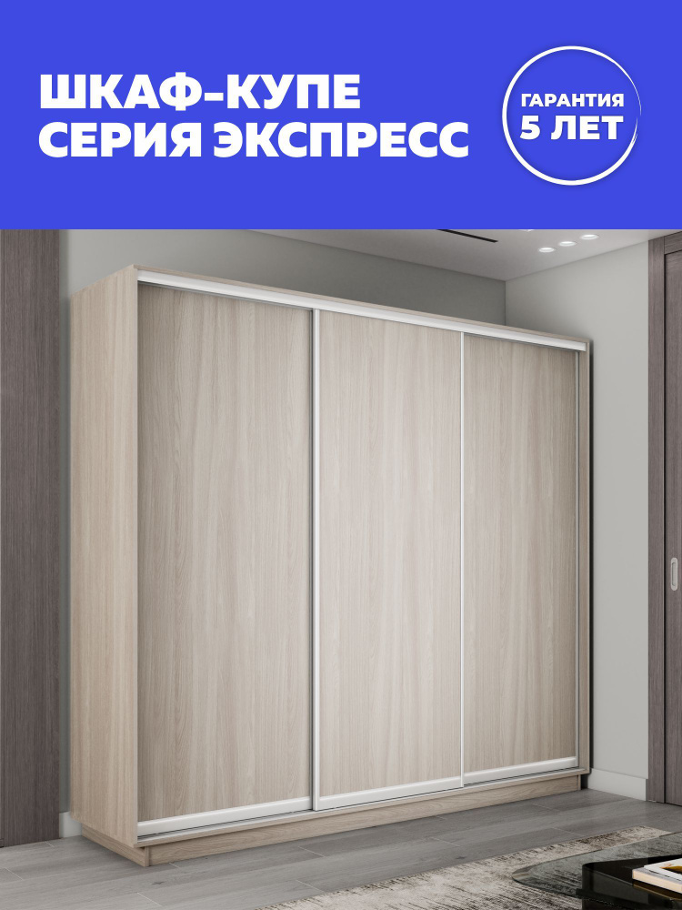 Е1 Шкаф-купе, 240х60х220 см #1