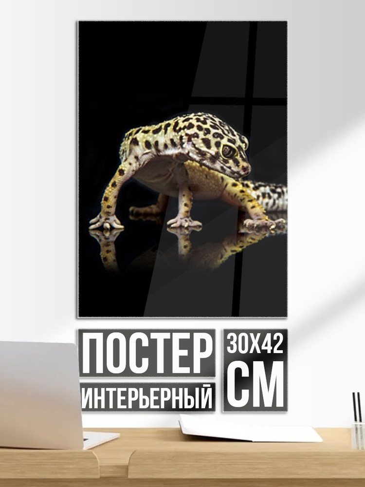 Постер на стену Эублефар eublepharis #1