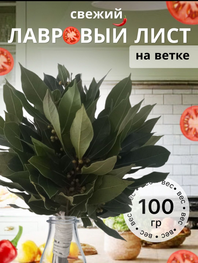 Лавровый лист #1