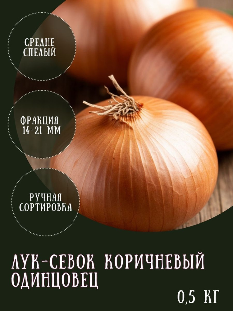 Лук-севок коричневый Одинцовец, 0,5 кг, на посадку #1