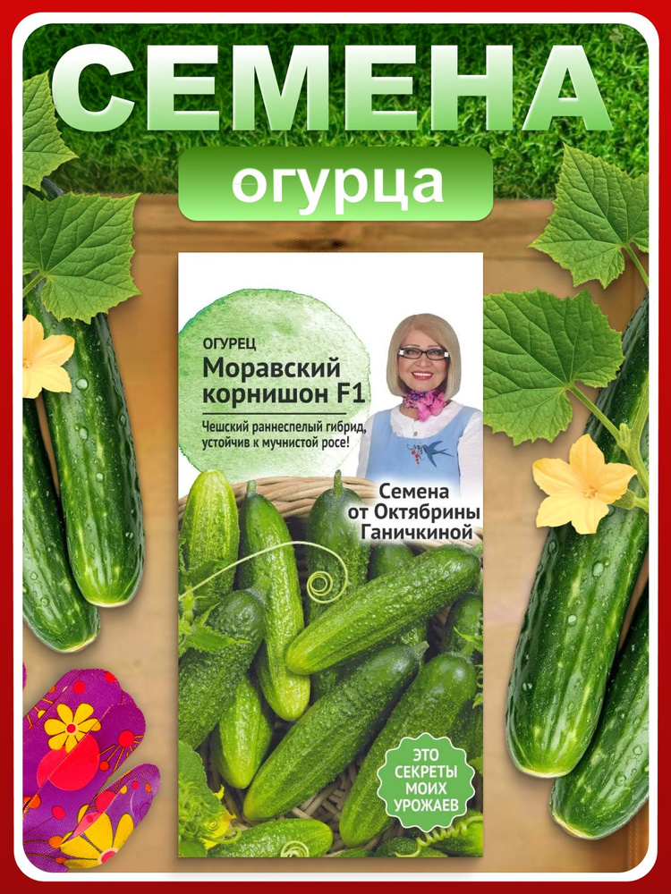 Семена огурцов ранних "Моравский корнишон" 0,3 г для огорода, открытого грунта, теплицы, парника / Для #1