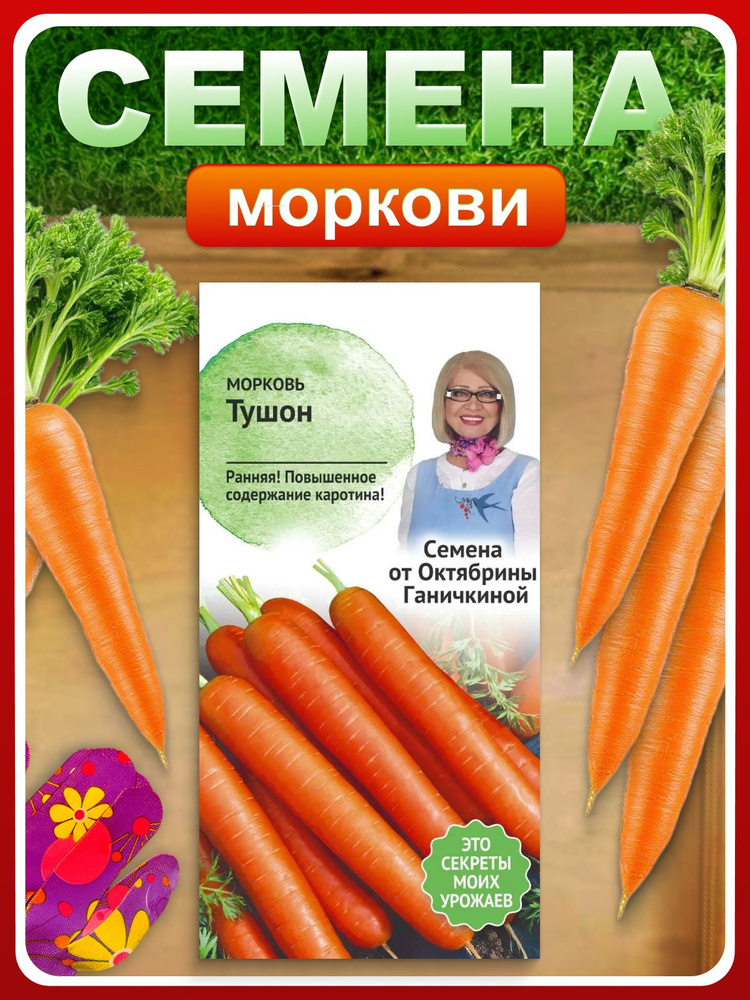 Семена Морковь ранняя "Тушон" 2 г для огорода, в грунт / Овощи #1