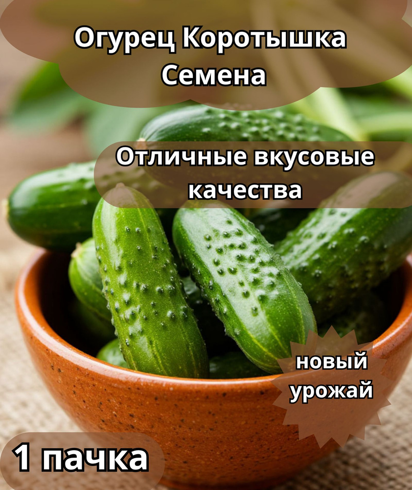 Огурец КОРОТЫШКА Семена #1