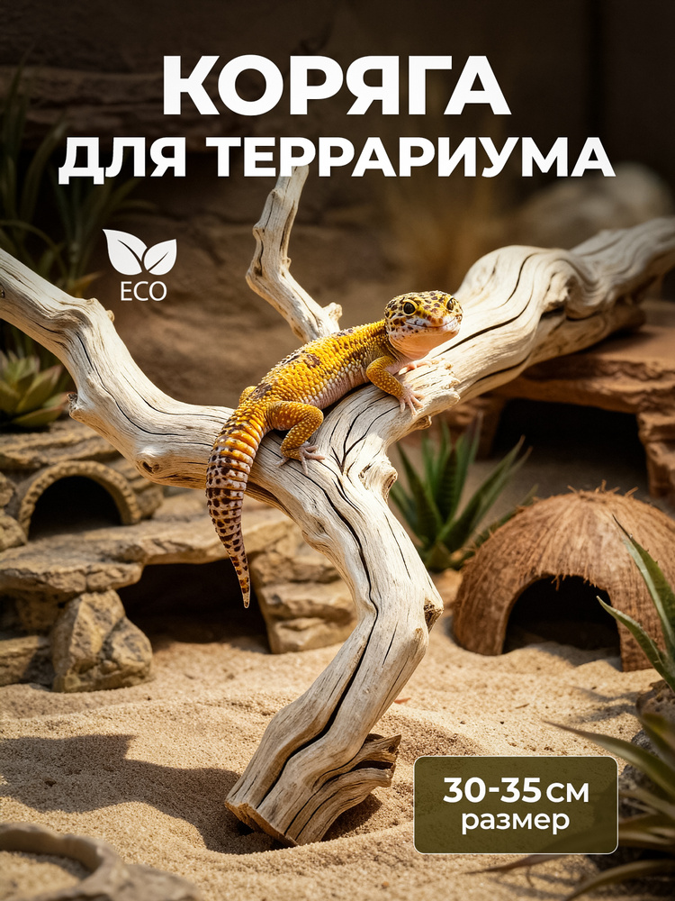Натуральная коряга для террариума, декорация и украшение декор для рептилий, ящериц, длина 30-35 см, #1