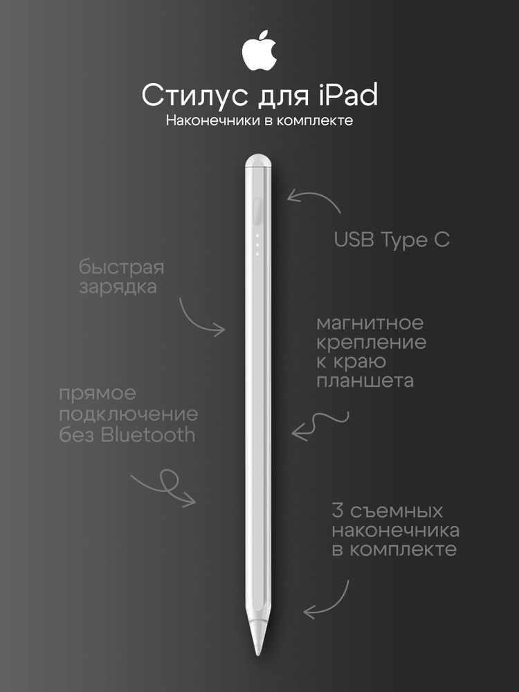 Стилус для iPad #1