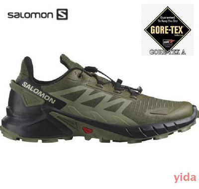 Salomon Authentic Ltr Gtx W OZON