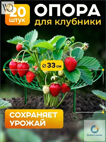 305-20-ozon-4586837027