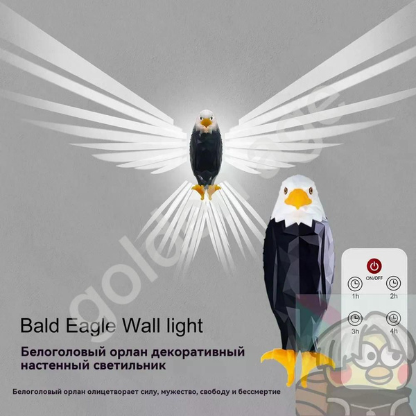 BD 1 bd-1