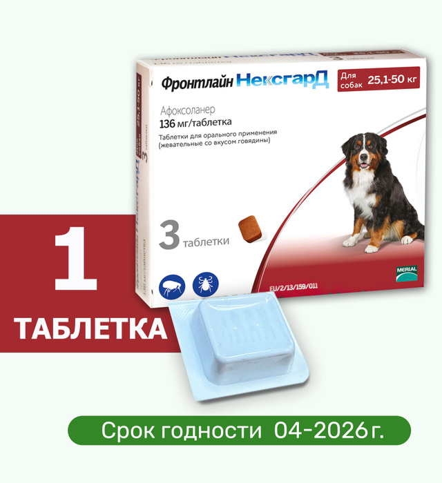 Nexgard для собак. Фронтлайн нексгард 2-4 кг. Фронтлайн нексгард для собак таблетки. Фронтлайн нексгард 25 - 50 кг. Нексгард фронтлайн для собак 4-10.